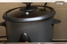 george rice cooker it’s grey